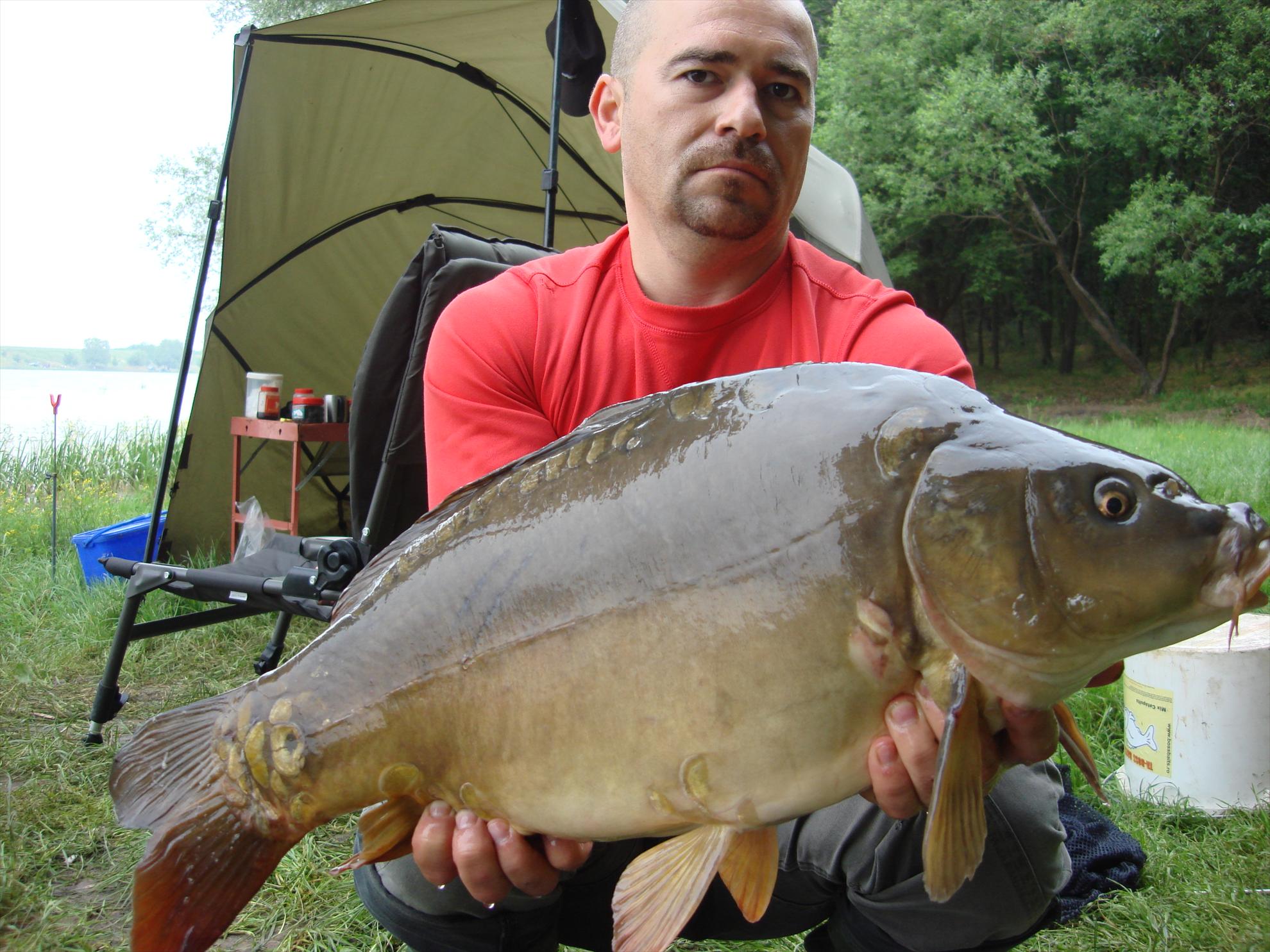 Cetariu Mai 2013 - dsc06100.JPG